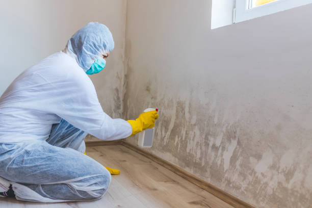 Mold Remediation specialist working in Orrtanna